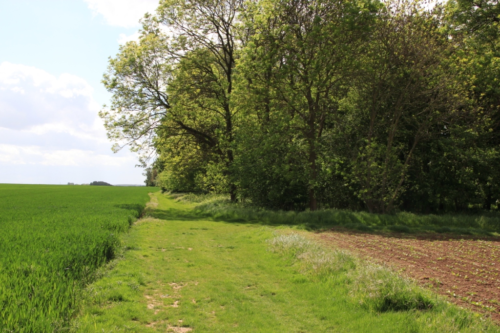 Chemin de Randonnée